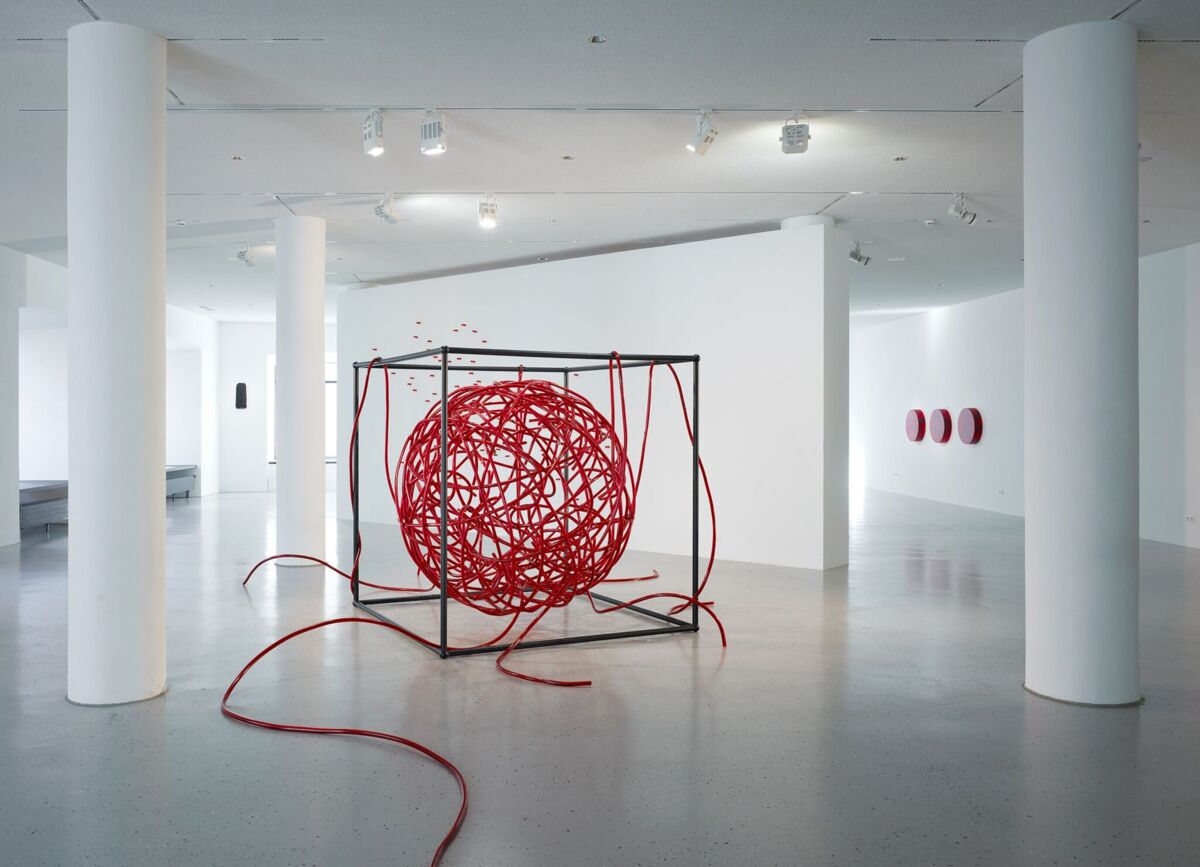 Installationsansicht » Birgitta Weimer. Reconstructing Nature«, Galerie im Prediger 2009. © Künstlerin, Foto: Museum im Prediger Schwäbisch Gmünd.