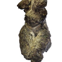 Sepp Baumhauer, Torso, 1960