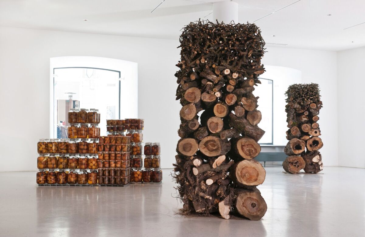 Ausstellungsansicht: Daniel Bräg. Obstlandschaftenn, Galerie im Prediger 2011. © VG Bild-Kunst, Bonn / Künstler. Foto: Frank Kleinbach, Stuttgart.Ausstellungsansicht: Daniel Bräg. Obstlandschaftenn, Galerie im Prediger 2011. © VG Bild-Kunst, Bonn / Künstl